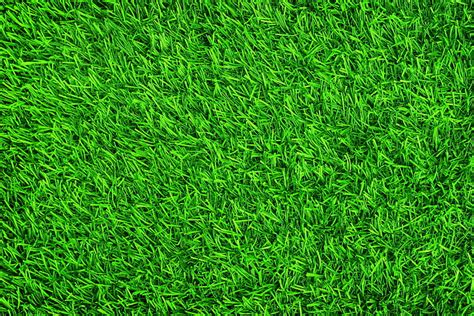 grass green background|free grass images.